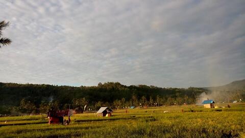 sawah di smunez